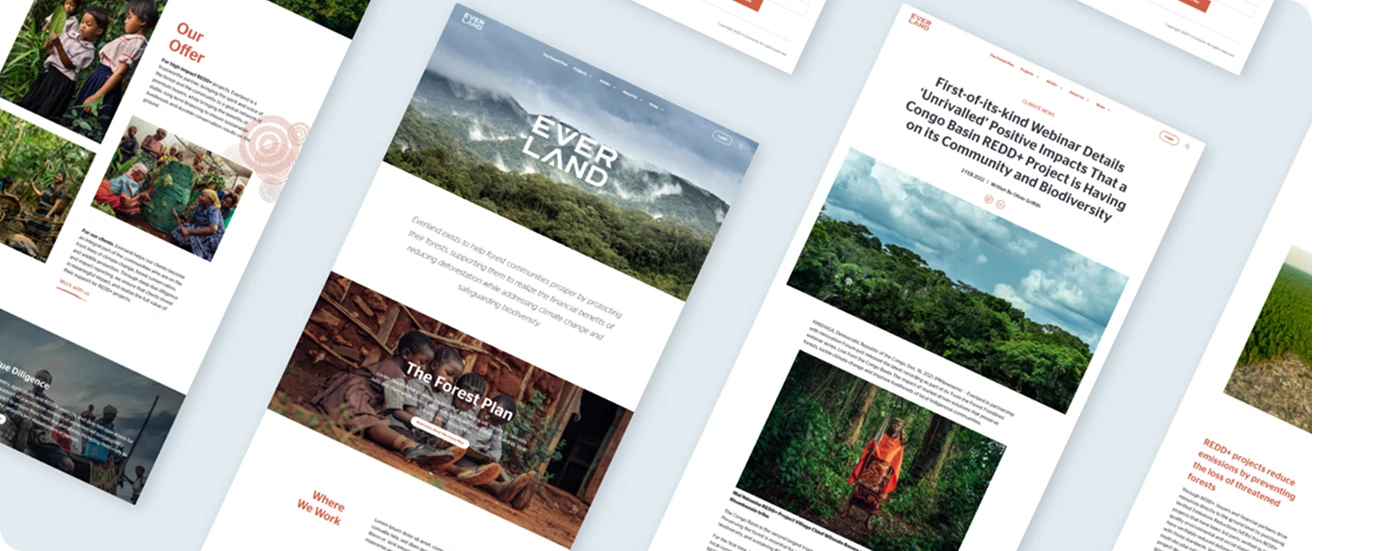everland_case_study